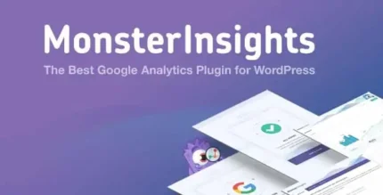 MonsterInsights Pro Plugin