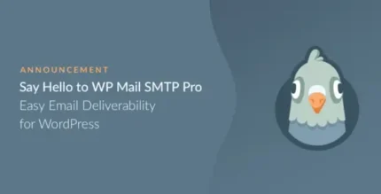 WP Mail SMTP Pro Plugin