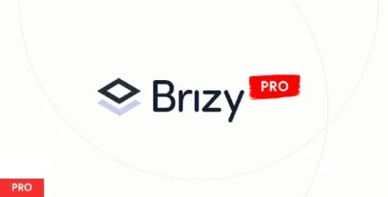 Brizy Pro Plugin