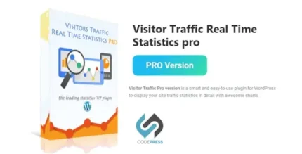 Visitor Traffic Real Time Statistics