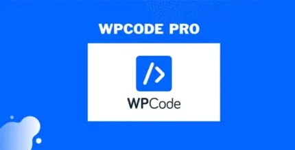 WPCode Pro