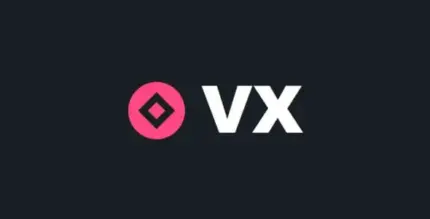 Voxel
